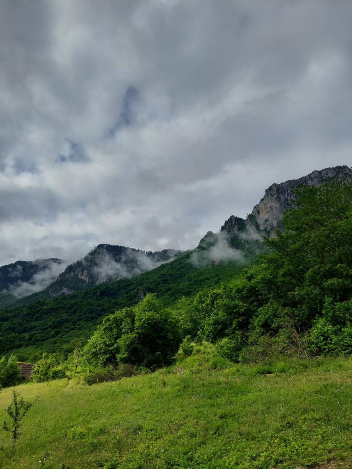 Rafting Camp Green Tara Scepan-Polje Exterior photo