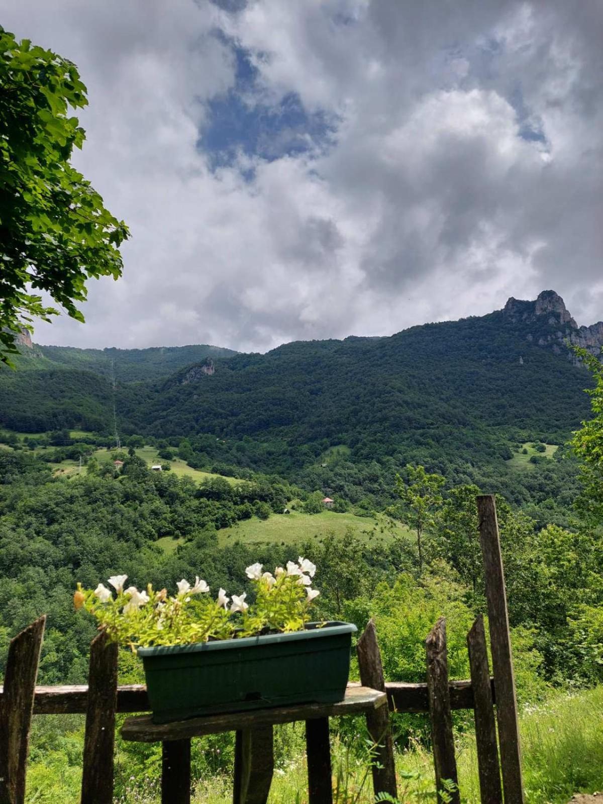Rafting Camp Green Tara Scepan-Polje Exterior photo