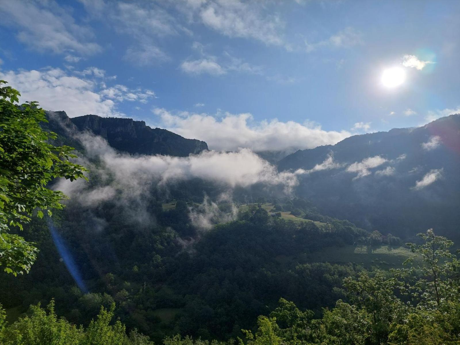 Rafting Camp Green Tara Scepan-Polje Exterior photo