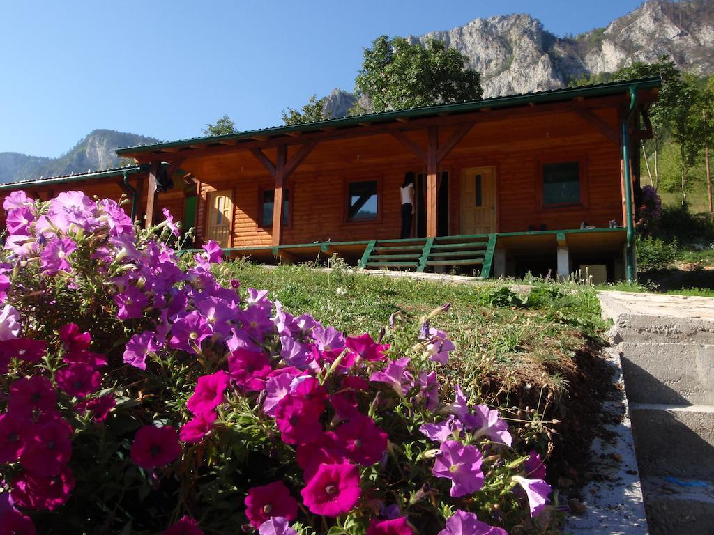Rafting Camp Green Tara Scepan-Polje Room photo