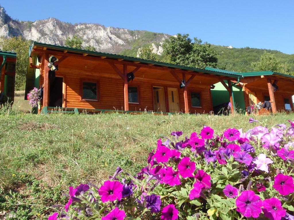 Rafting Camp Green Tara Scepan-Polje Exterior photo